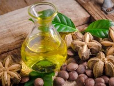 CÔNG BỐ THÀNH QUẢ SẢN XUẤT DẦU SACHA INCHI TẠI VIỆT NAM